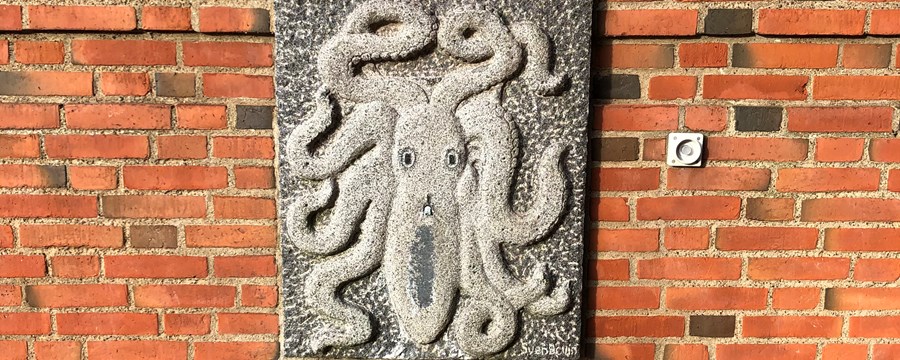 Granitrelief forestillende en blæksprutte
