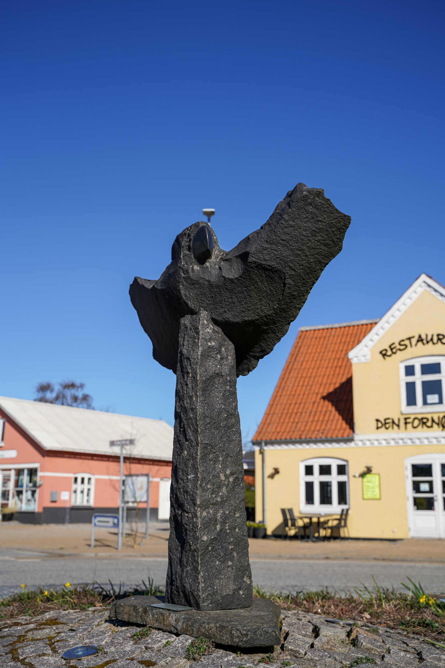 Stor mørk stenørn med vingerne ude