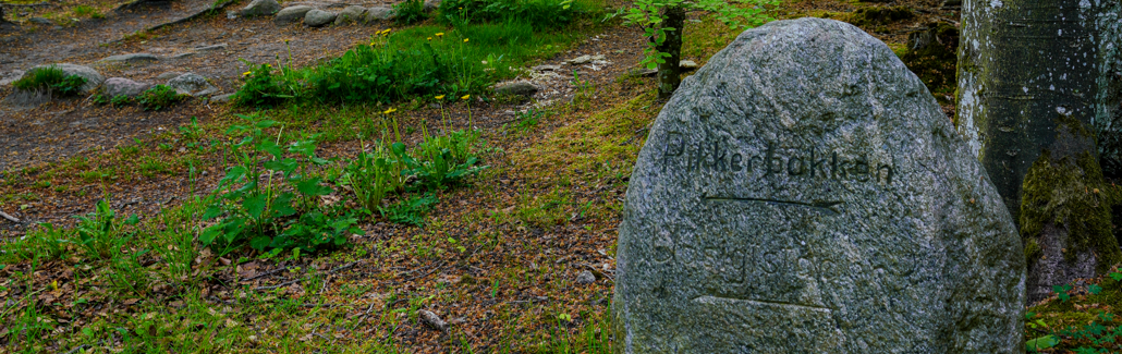 Sten med sort skrift i skoven