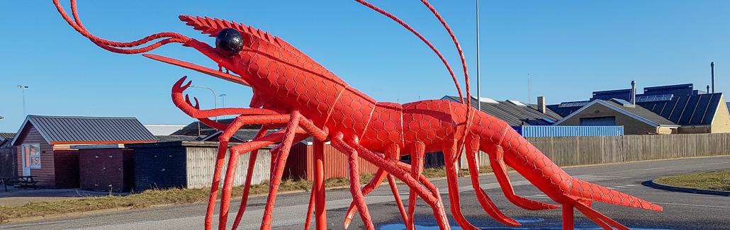 Stor rød reje med sorte øjne